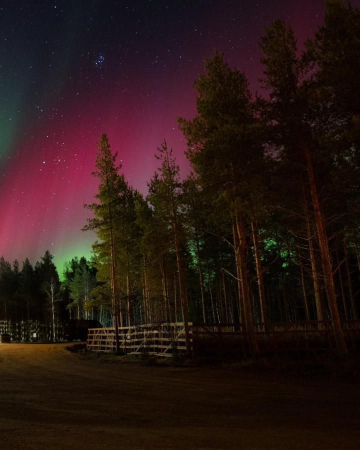 Arctic Snowhotel & Glass Igloos Sinettä Zewnętrze zdjęcie